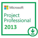 MICROSOFT PROJECT 2013 PROFESSIONAL