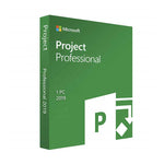 Microsoft Project Professional 2019